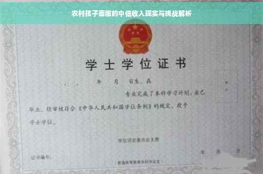 农村孩子面临的中低收入现实与挑战解析