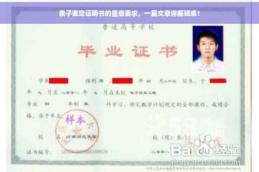 亲子鉴定证明书的盖章要求，一篇文章详解疑惑！