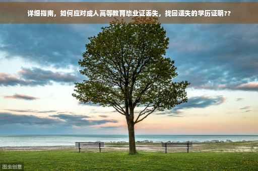 详细指南，如何应对成人高等教育毕业证丢失，找回遗失的学历证明??