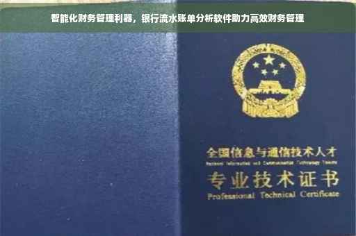 智能化财务管理利器，银行流水账单分析软件助力高效财务管理