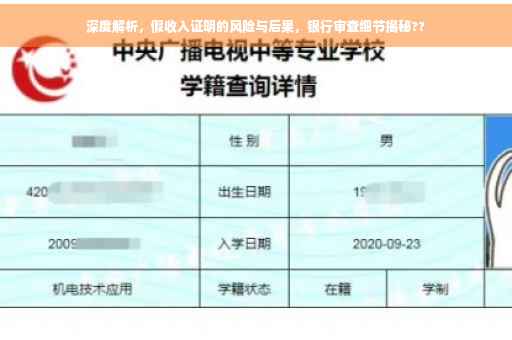 深度解析，假收入证明的风险与后果，银行审查细节揭秘??