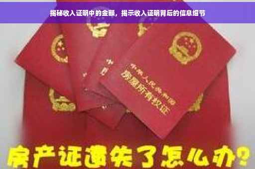 揭秘收入证明中的金额，揭示收入证明背后的信息细节