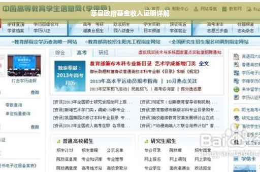 莘县政府基金收入证明详解
