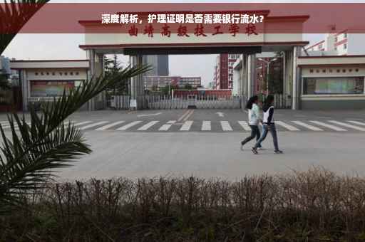 深度解析，护理证明是否需要银行流水？