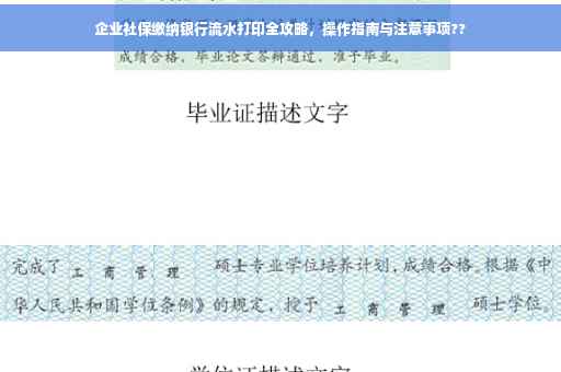 企业社保缴纳银行流水打印全攻略，操作指南与注意事项??