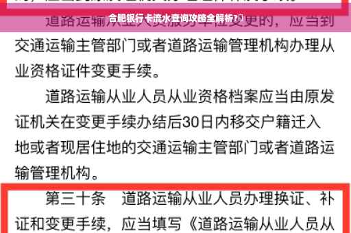 合肥银行卡流水查询攻略全解析?✨