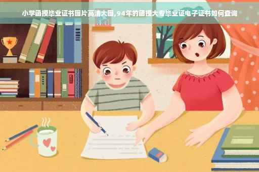 小学函授毕业证书图片高清大图,94年的函授大专毕业证电子证书如何查询
