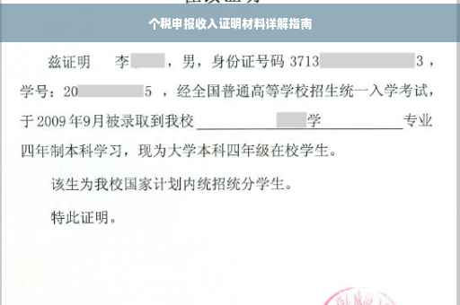个税申报收入证明材料详解指南