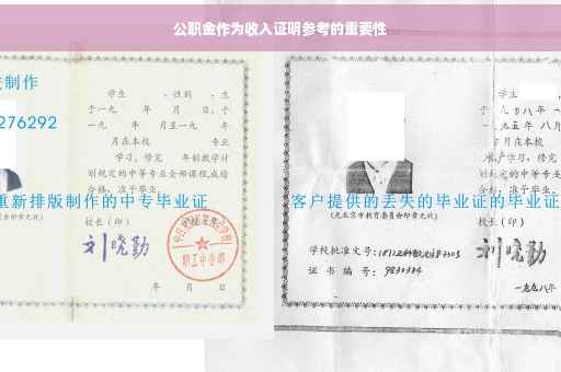 公职金作为收入证明参考的重要性