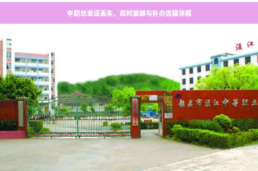 中职毕业证丢失，应对策略与补办流程详解