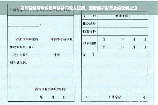 彩票店经营者的盈利秘诀与收入证明，深度解析彩票业的盈利之道