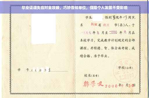 毕业证遗失应对全攻略，巧妙告知单位，保障个人发展不受影响