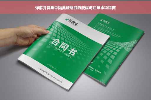 详解开具集中隔离证明书的流程与注意事项指南