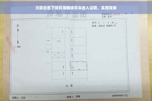 欠款状态下如何准确填写年收入证明，实用指南