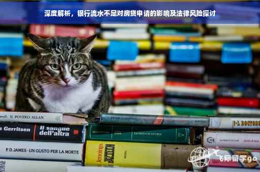 深度解析，银行流水不足对房贷申请的影响及法律风险探讨