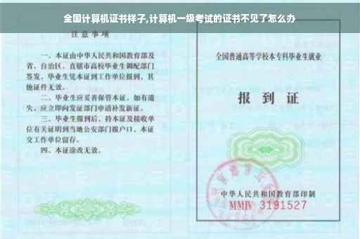 全国计算机证书样子,计算机一级考试的证书不见了怎么办