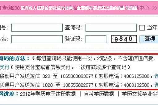没有收入证明的房贷应对指南，全面解析买房还贷后的挑战与策略
