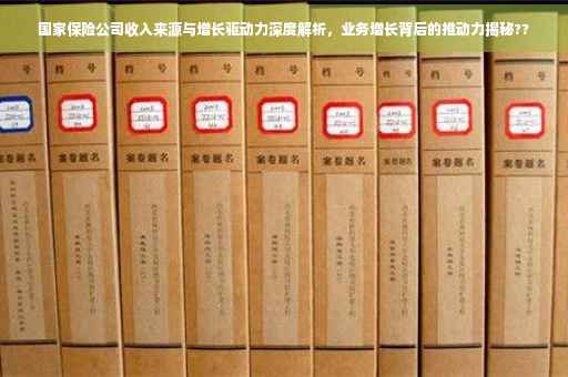 国家保险公司收入来源与增长驱动力深度解析，业务增长背后的推动力揭秘??