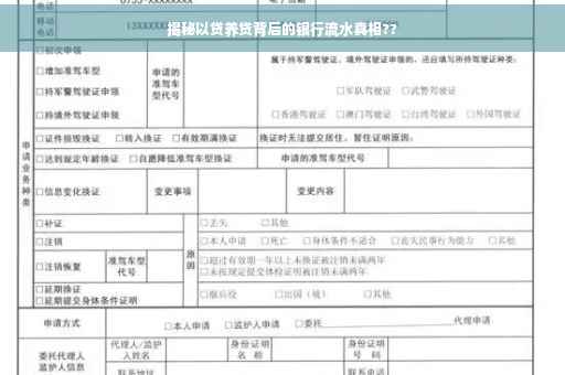 揭秘以贷养贷背后的银行流水真相??
