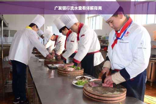 广发银行流水查看详解指南