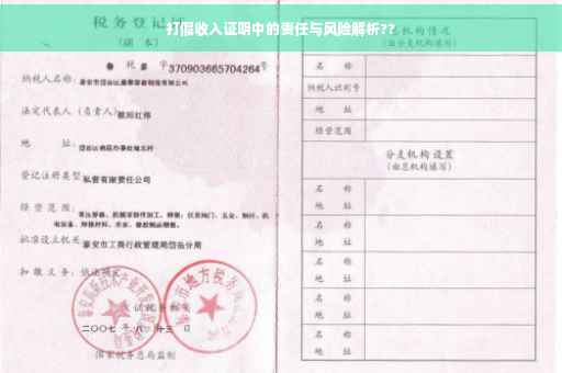打假收入证明中的责任与风险解析??