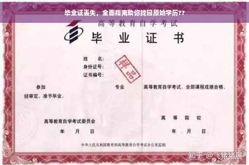 毕业证丢失，全面指南助你找回原始学历??