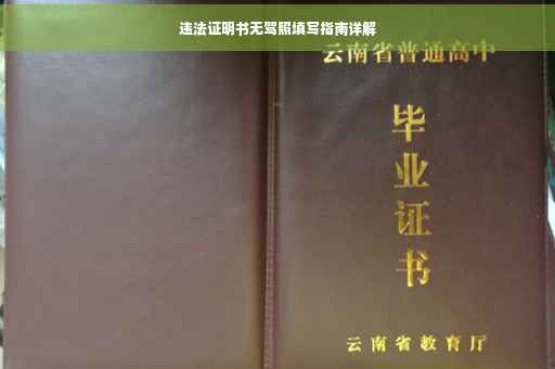 违法证明书无驾照填写指南详解