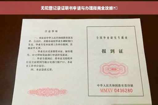 无犯罪记录证明书申请与办理指南全攻略?✨