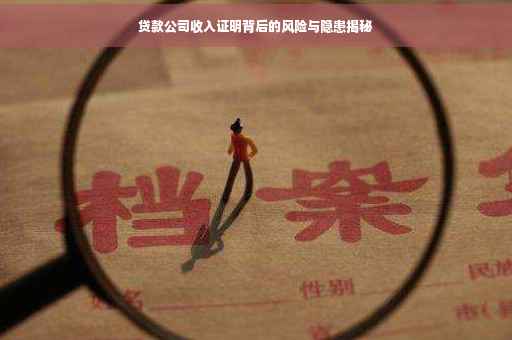 贷款公司收入证明背后的风险与隐患揭秘