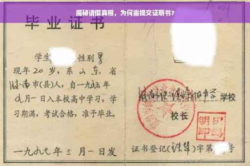 揭秘请假真相，为何需提交证明书？