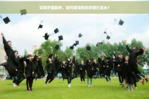详细步骤解析，如何查询收到的银行流水？