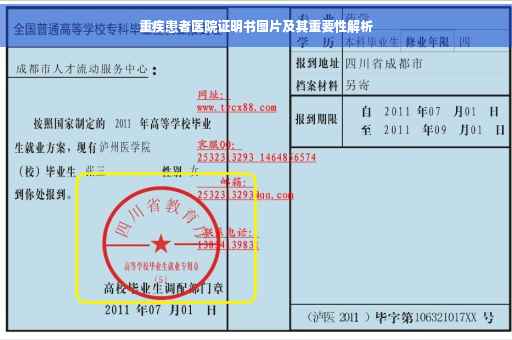 重疾患者医院证明书图片及其重要性解析