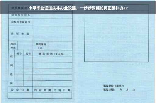 小学毕业证遗失补办全攻略，一步步教你如何正确补办??