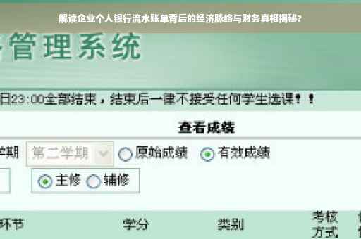 解读企业个人银行流水账单背后的经济脉络与财务真相揭秘?
