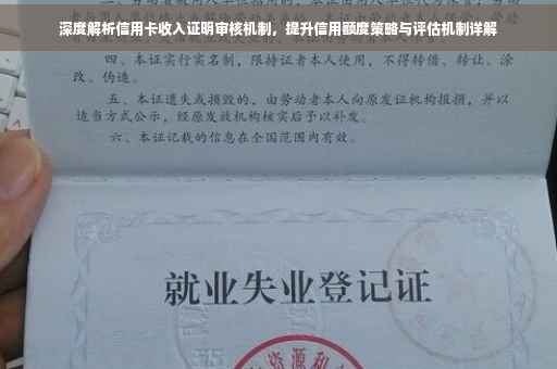深度解析信用卡收入证明审核机制，提升信用额度策略与评估机制详解