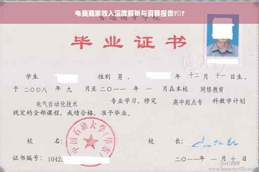 电商商家收入深度解析与洞察报告?️?
