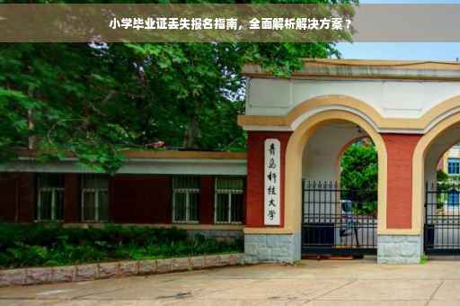 小学毕业证丢失报名指南，全面解析解决方案 ?