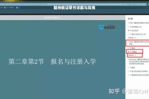 精神病证明书详解与指南