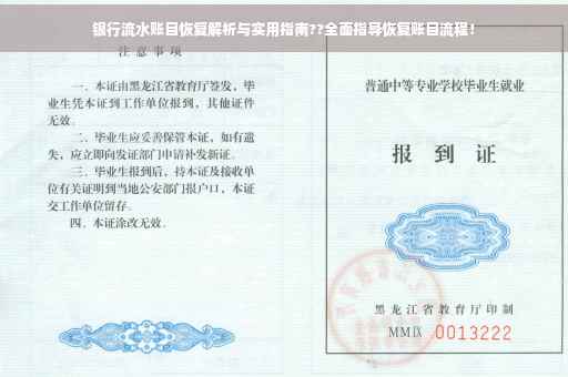 银行流水账目恢复解析与实用指南??全面指导恢复账目流程！