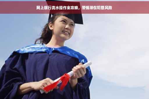 网上银行流水操作全攻略，警惕潜在犯罪风险