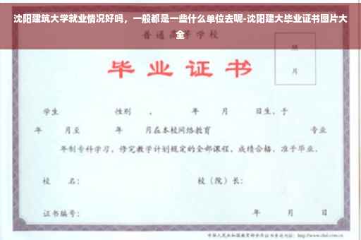 沈阳建筑大学就业情况好吗，一般都是一些什么单位去呢-沈阳建大毕业证书图片大全