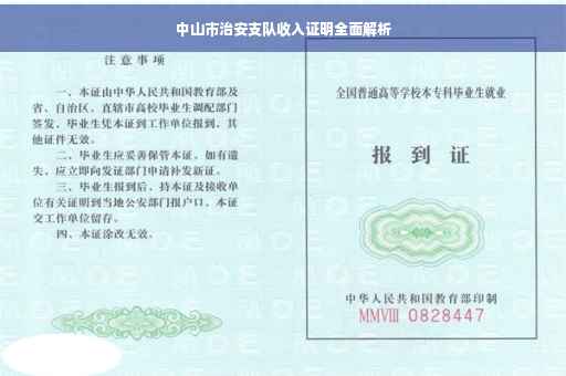 中山市治安支队收入证明全面解析