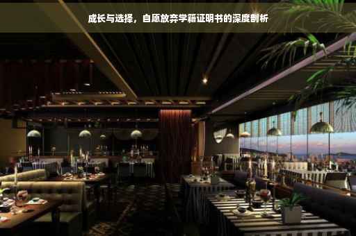 成长与选择，自愿放弃学籍证明书的深度剖析