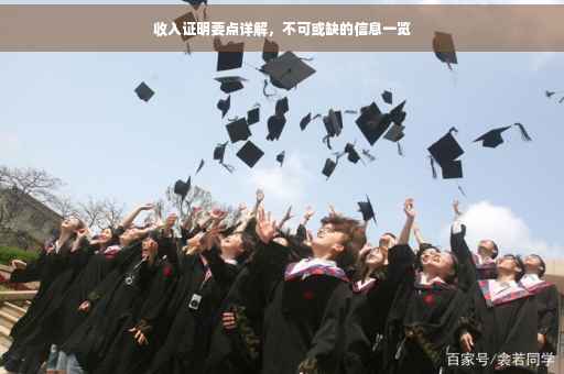 收入证明要点详解，不可或缺的信息一览