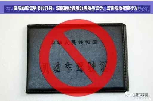 医院虚假证明书的开具，深度剖析背后的风险与警示，警惕违法犯罪行为！