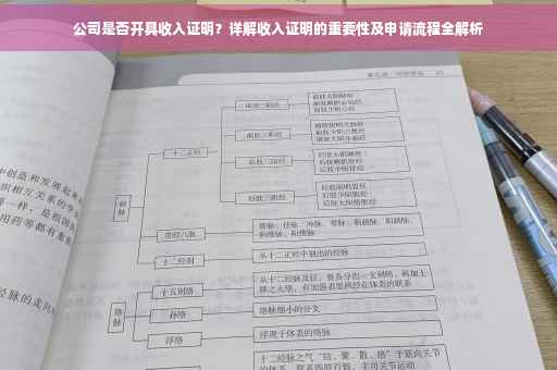 公司是否开具收入证明？详解收入证明的重要性及申请流程全解析