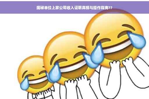 揭秘单位上家公司收入证明真相与操作指南??