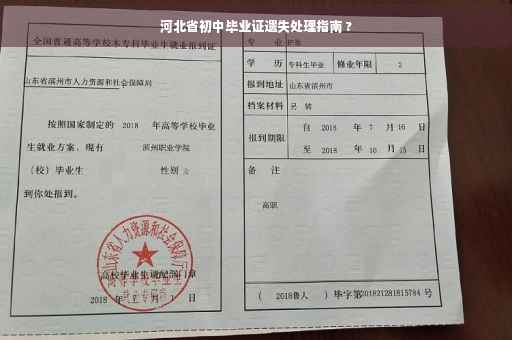 河北省初中毕业证遗失处理指南 ?