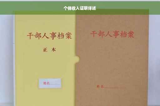 个体收入证明详述