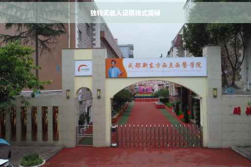 独特无收入证明格式揭秘